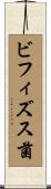 ビフィズス菌 Scroll