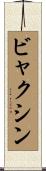 ビャクシン Scroll