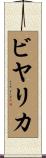 ビヤリカ Scroll
