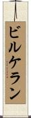 ビルケラン Scroll