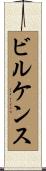 ビルケンス Scroll
