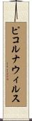 ピコルナウィルス Scroll