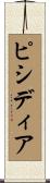 ピシディア Scroll