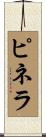 ピネラ Scroll