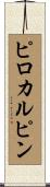 ピロカルピン Scroll