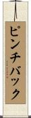 ピンチバック Scroll
