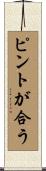 ピントが合う Scroll