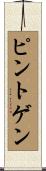 ピントゲン Scroll