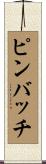 ピンバッチ Scroll
