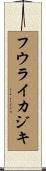フウライカジキ Scroll