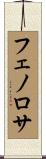 フェノロサ Scroll