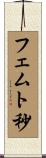 フェムト秒 Scroll