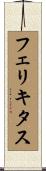 フェリキタス Scroll