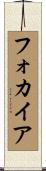 フォカイア Scroll