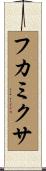 フカミクサ Scroll