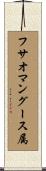 フサオマングース属 Scroll