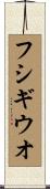 フシギウオ Scroll