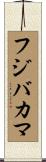 フジバカマ Scroll