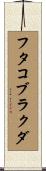 フタコブラクダ Scroll