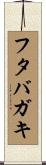 フタバガキ Scroll