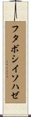 フタボシイソハゼ Scroll