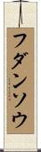 フダンソウ Scroll