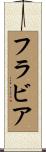 フラビア Scroll