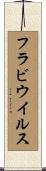 フラビウイルス Scroll