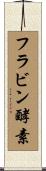 フラビン酵素 Scroll