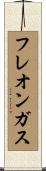 フレオンガス Scroll