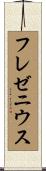 フレゼニウス Scroll