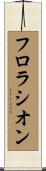 フロラシオン Scroll