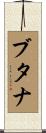 ブタナ Scroll
