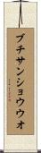 ブチサンショウウオ Scroll