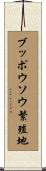 ブッポウソウ繁殖地 Scroll