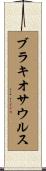 ブラキオサウルス Scroll