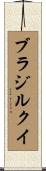 ブラジルクイ Scroll