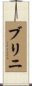 ブリニ Scroll
