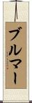 ブルマー Scroll