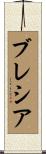 ブレシア Scroll