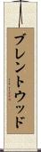 ブレントウッド Scroll
