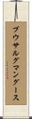 プウサルグ・マングース Scroll