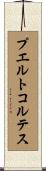 プエルトコルテス Scroll