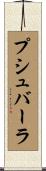 プシュバーラ Scroll