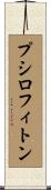 プシロフィトン Scroll