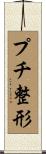 プチ整形 Scroll