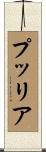 プッリア Scroll