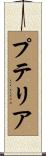 プテリア Scroll