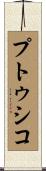 プトゥシコ Scroll