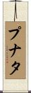 プナタ Scroll